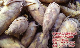 綠色引領(lǐng)未來(lái) 探秘宏鴻農(nóng)產(chǎn)品集團(tuán)無(wú)公害蔬菜配送全流程